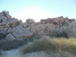 SAMSUNG CAMERA PICTURES