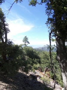 SAMSUNG CAMERA PICTURES