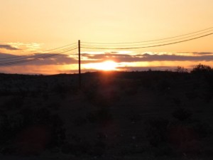 IMG_0048