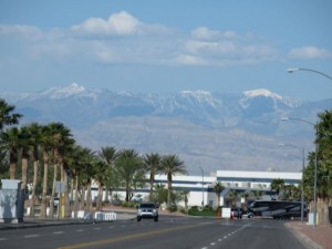 IMG_0081