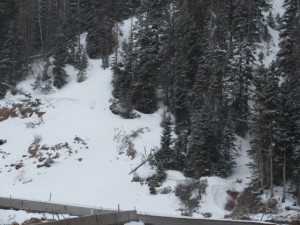 IMG_0172