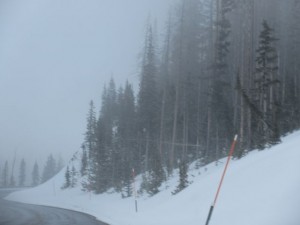 IMG_0180