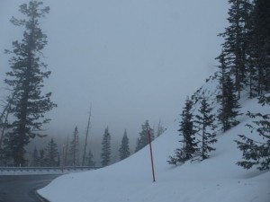 IMG_0181