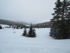 IMG_0182
