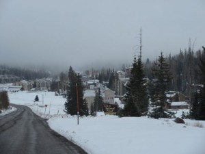 IMG_0183