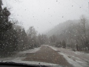 IMG_0208