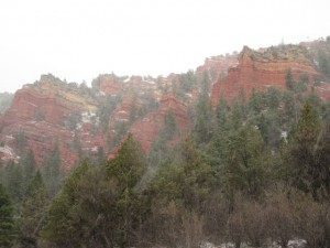 IMG_0222