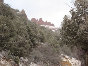 IMG_0250