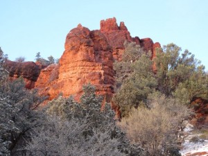 IMG_0261