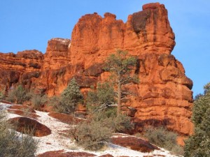 IMG_0262