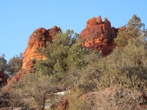 IMG_0263