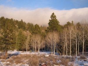 IMG_0273