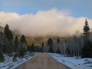 IMG_0274