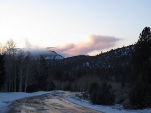 IMG_0282