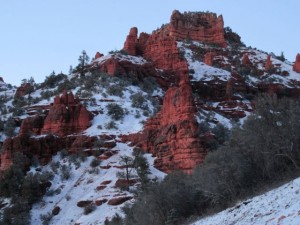 IMG_0305