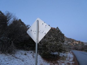 IMG_0310