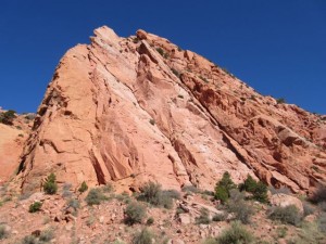 IMG_0312