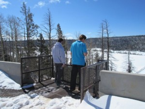 IMG_0357