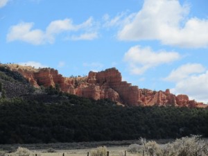 IMG_0379