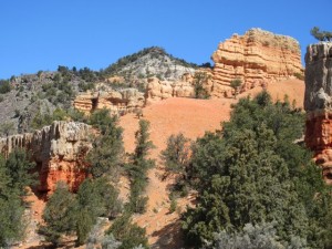 IMG_0385