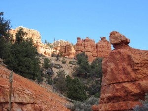 IMG_0394
