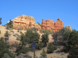 IMG_0395