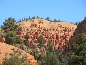 IMG_0419
