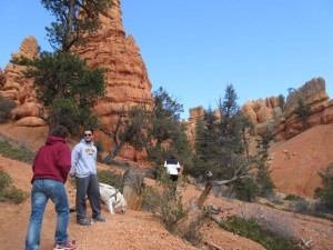 IMG_0426
