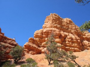 IMG_0433