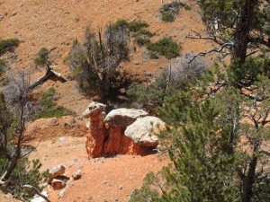 IMG_0487