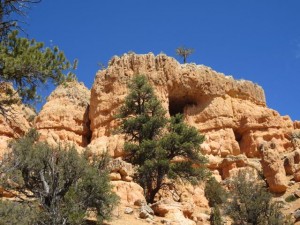 IMG_0520