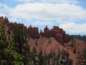 IMG_0533