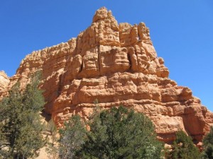 IMG_0585