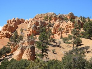 IMG_0594