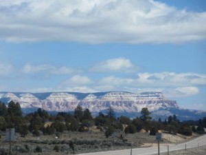 IMG_0609
