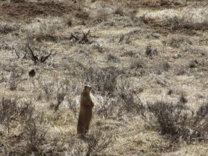 IMG_0619