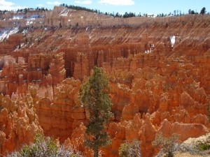 IMG_0635
