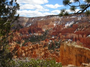 IMG_0653