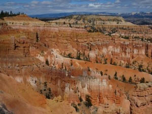 IMG_0654