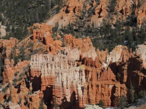 IMG_0686