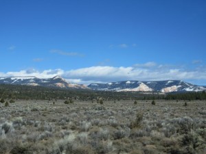 IMG_0728
