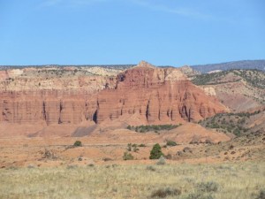 IMG_0767