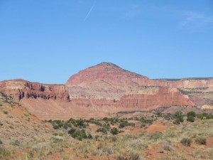 IMG_0774