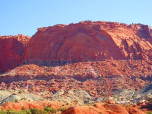 IMG_0794