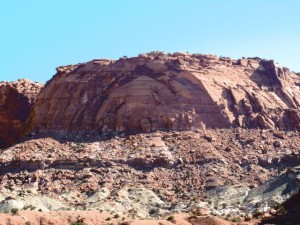 IMG_0795