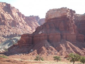 IMG_0797