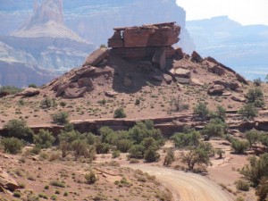 IMG_0816
