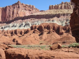 IMG_0847
