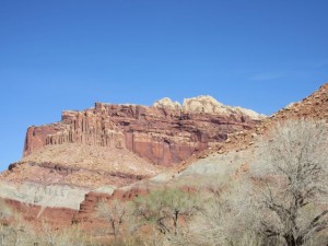 IMG_0859
