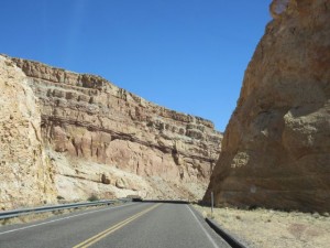 IMG_0868